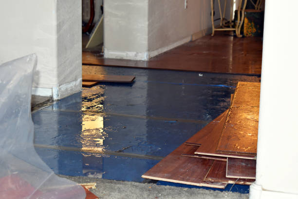 Professional Flood Damage Repair technician working in Llano, CA